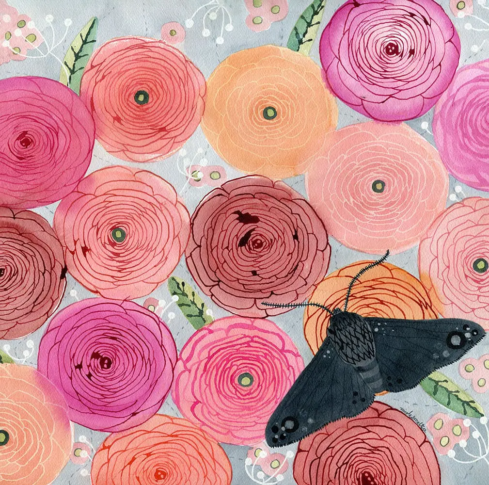 Black Moth and Ranunculus