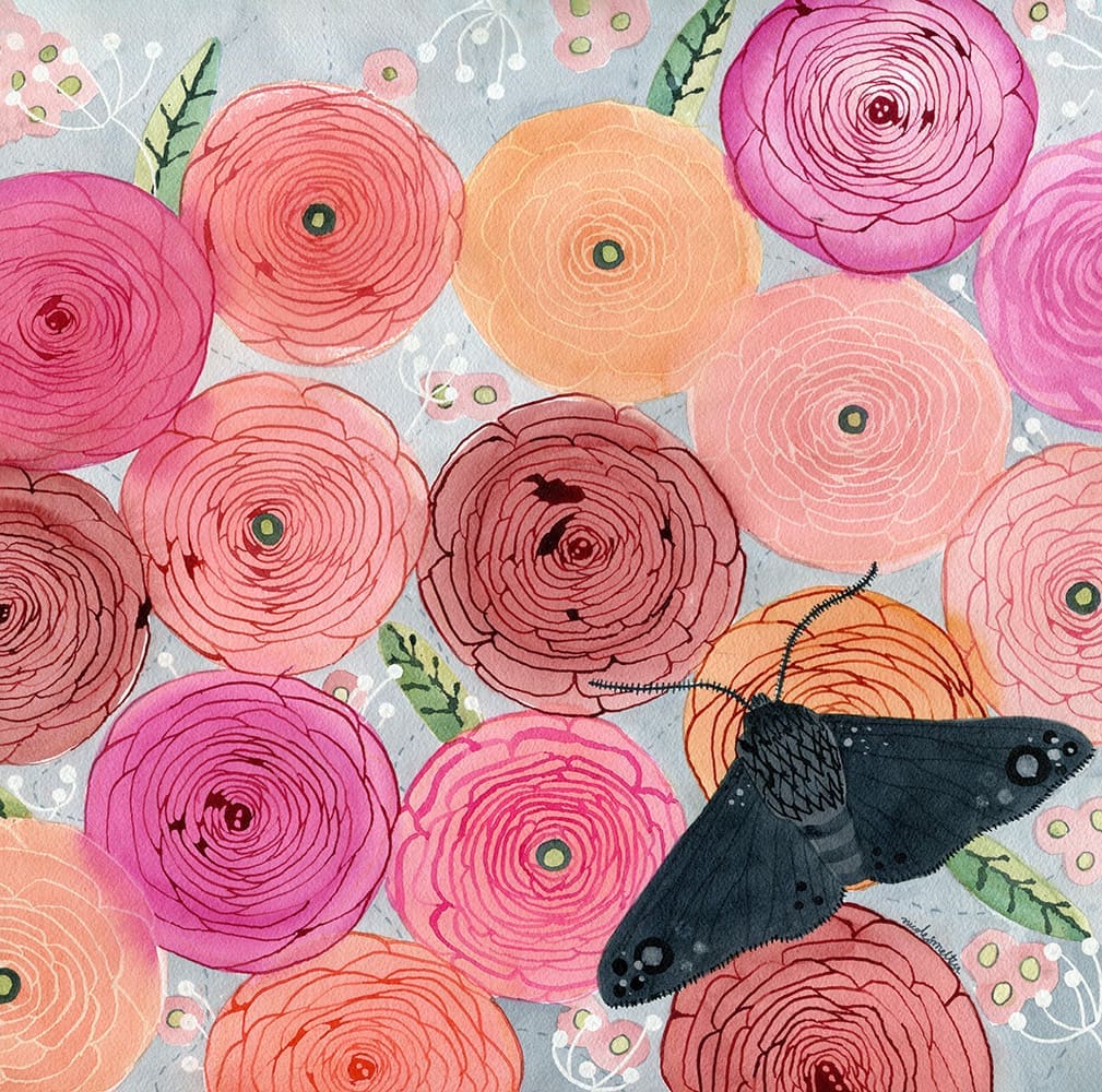 Black Moth and Ranunculus