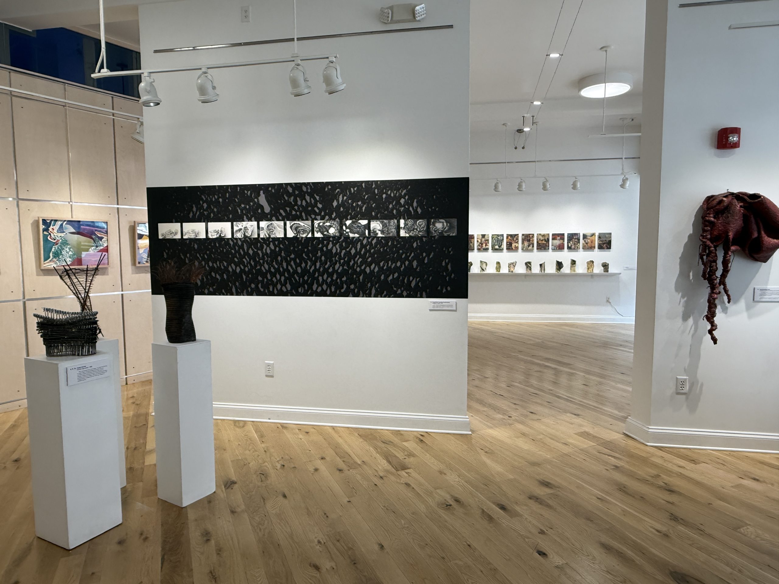 Image of the gallery with Donna Sylvester's artwork